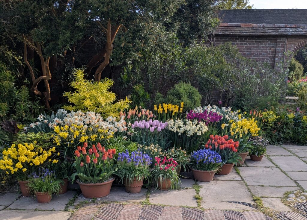 Pots at Great Dixter