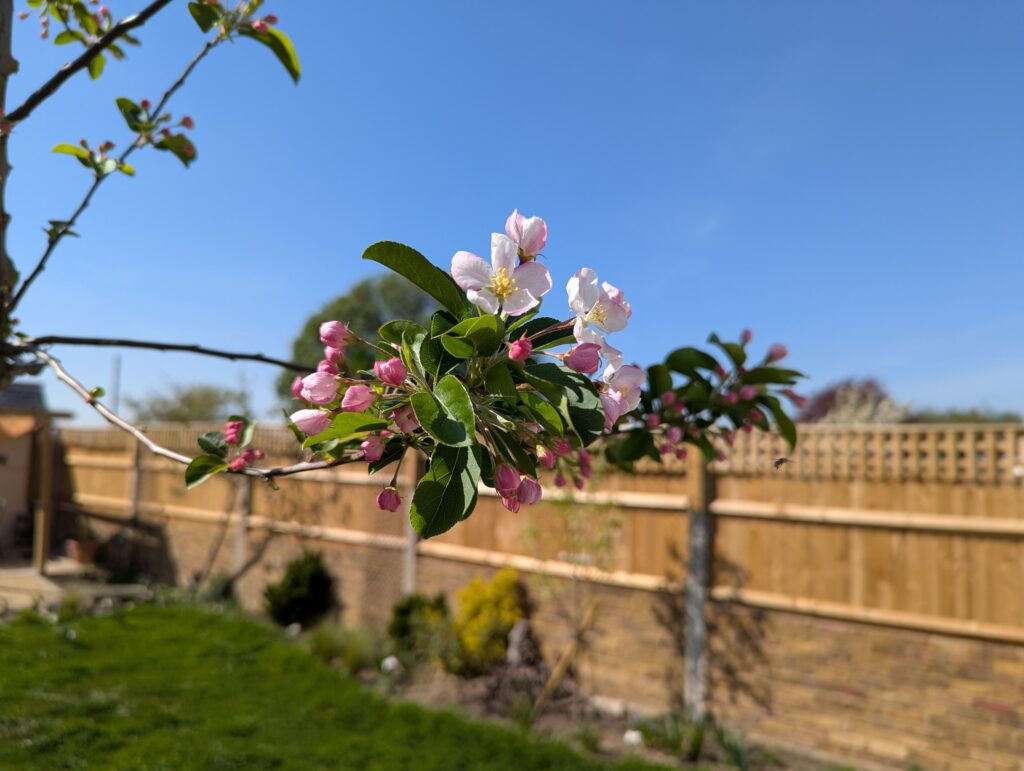 PXL_20250411_133109800