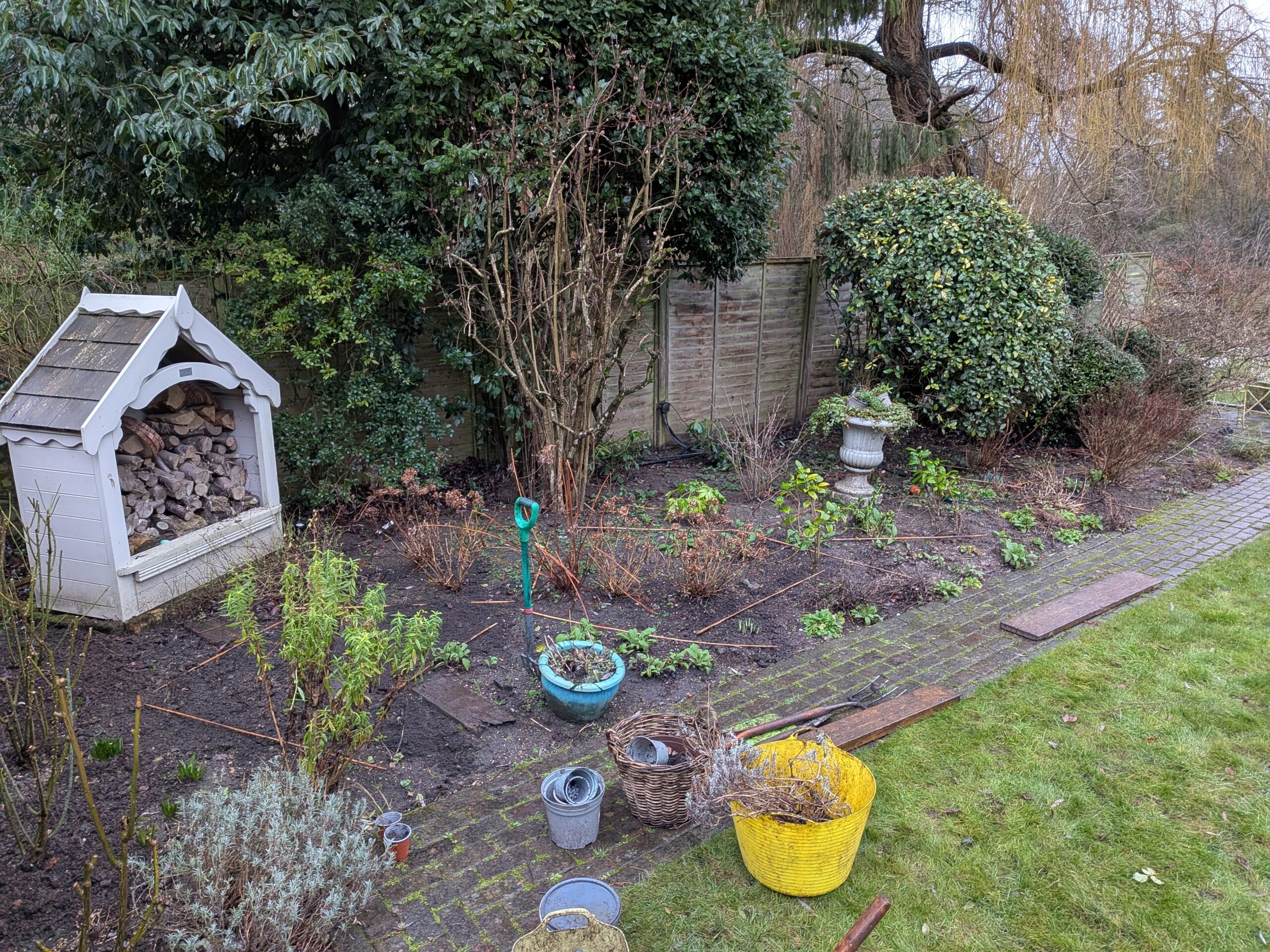 The Secret Season: Why the Best Summer Gardens are Made in Winter