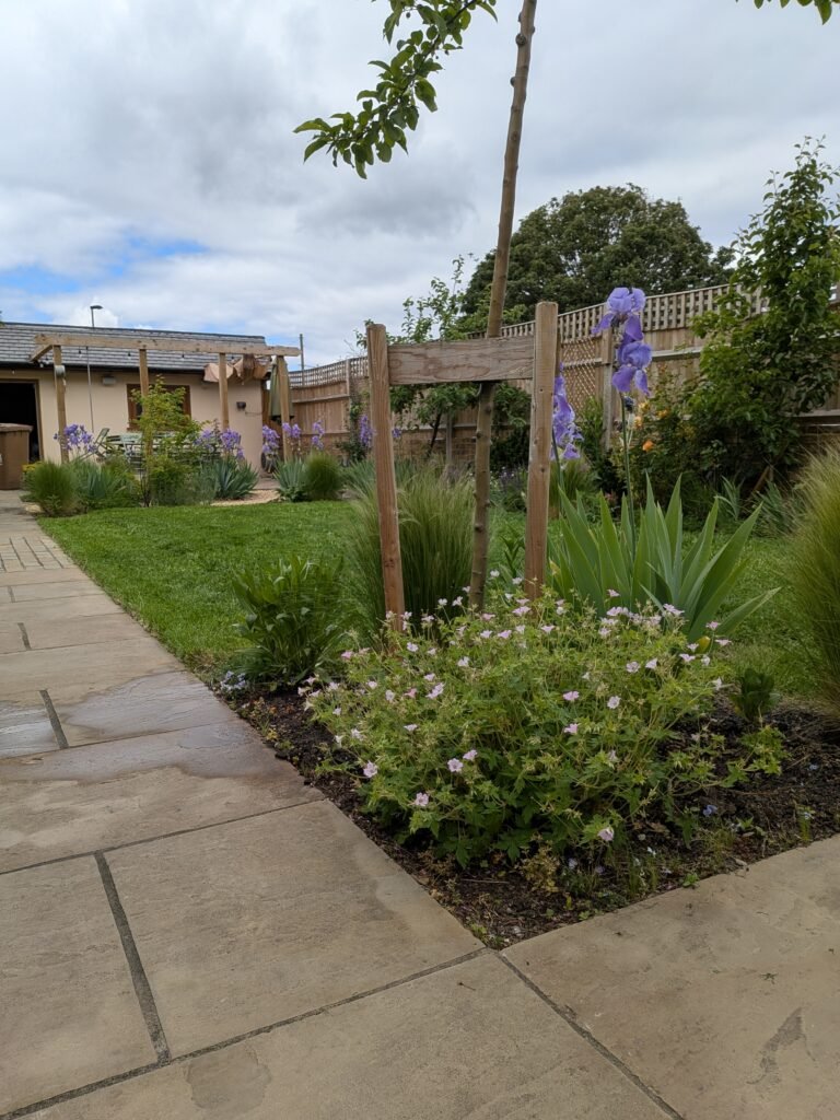 Garden design garden planting border geranium flowers london lewisham